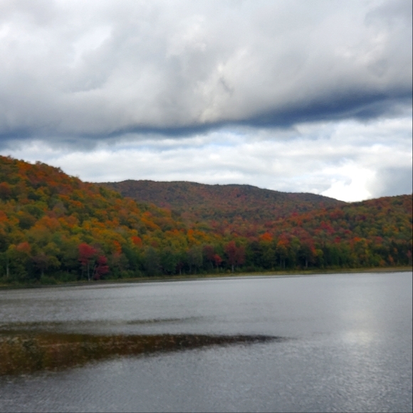 Meet your Posher, Barbara - Picture 2 of 2